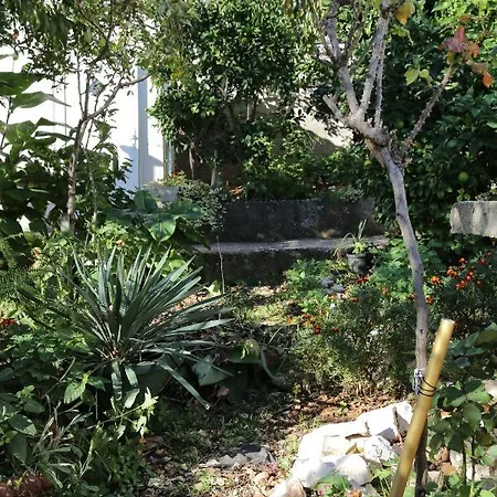 Apartman 10338b *